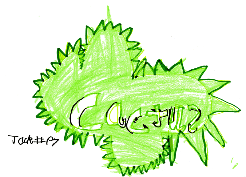 Cactus TV logo for Cactus TV