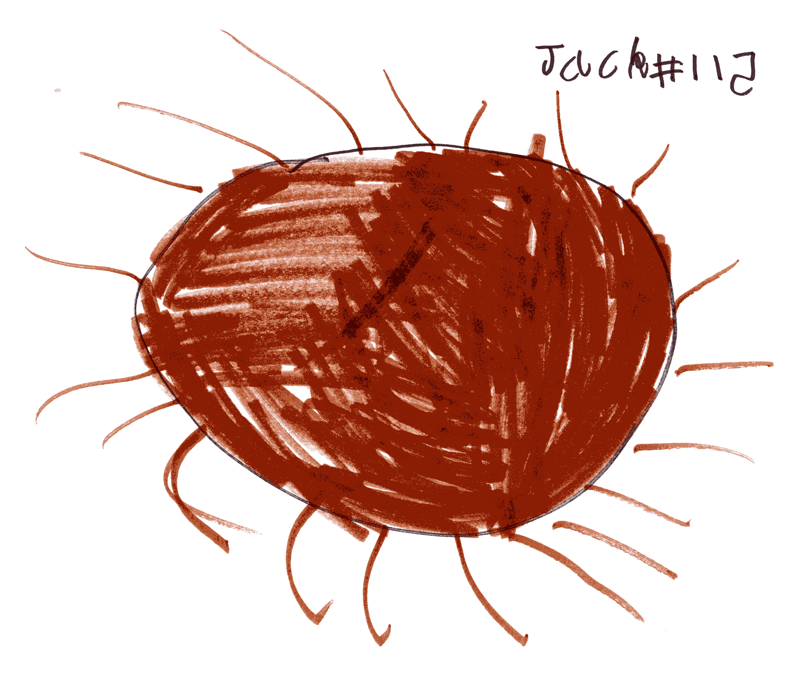 Hedgehog in a ball for Rose Henderson (Jack’s Mummy)