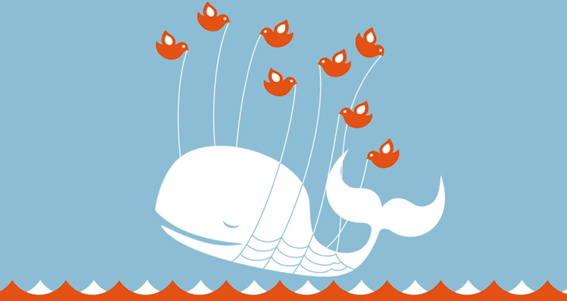 Twitter Fail Whale for Ruth Deller