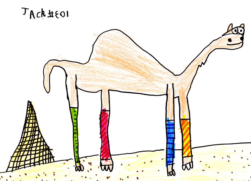 Colourful Camel (with legwarmers) and Pyramid for Lesley & Philip King