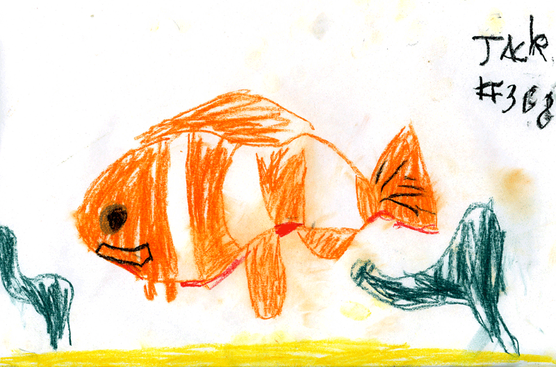 ’Nemo’ clown fish for Vicky & Dave Montgomery