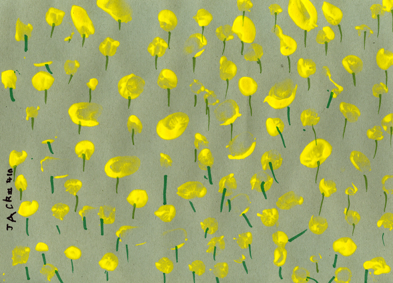 Field of Daffodils for Rhona Duncan