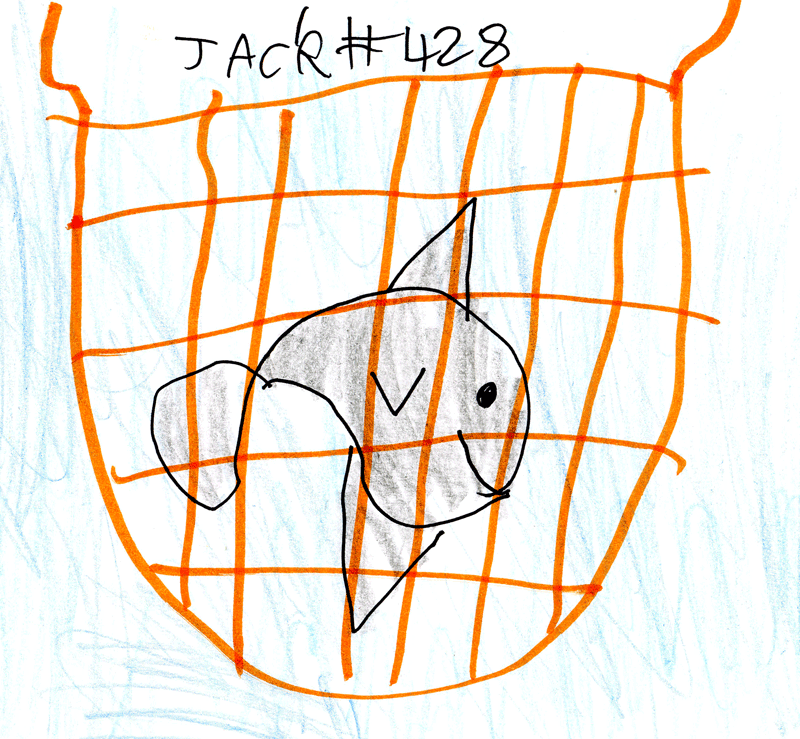 Jack’s interpretation of the fishing industry for Joanna Dunlop